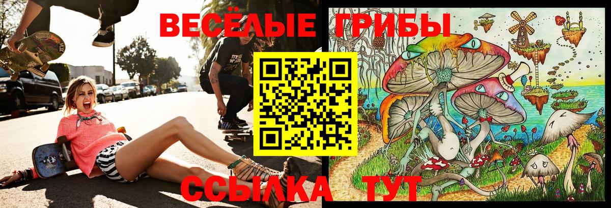 Галлюциногенные грибы ЛСД  Вход с VPN  Заводоуковск 